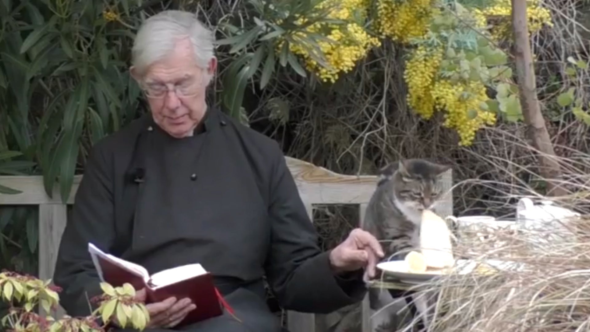 Cat steals Dean of Canterbury’s pancakes during morning prayer