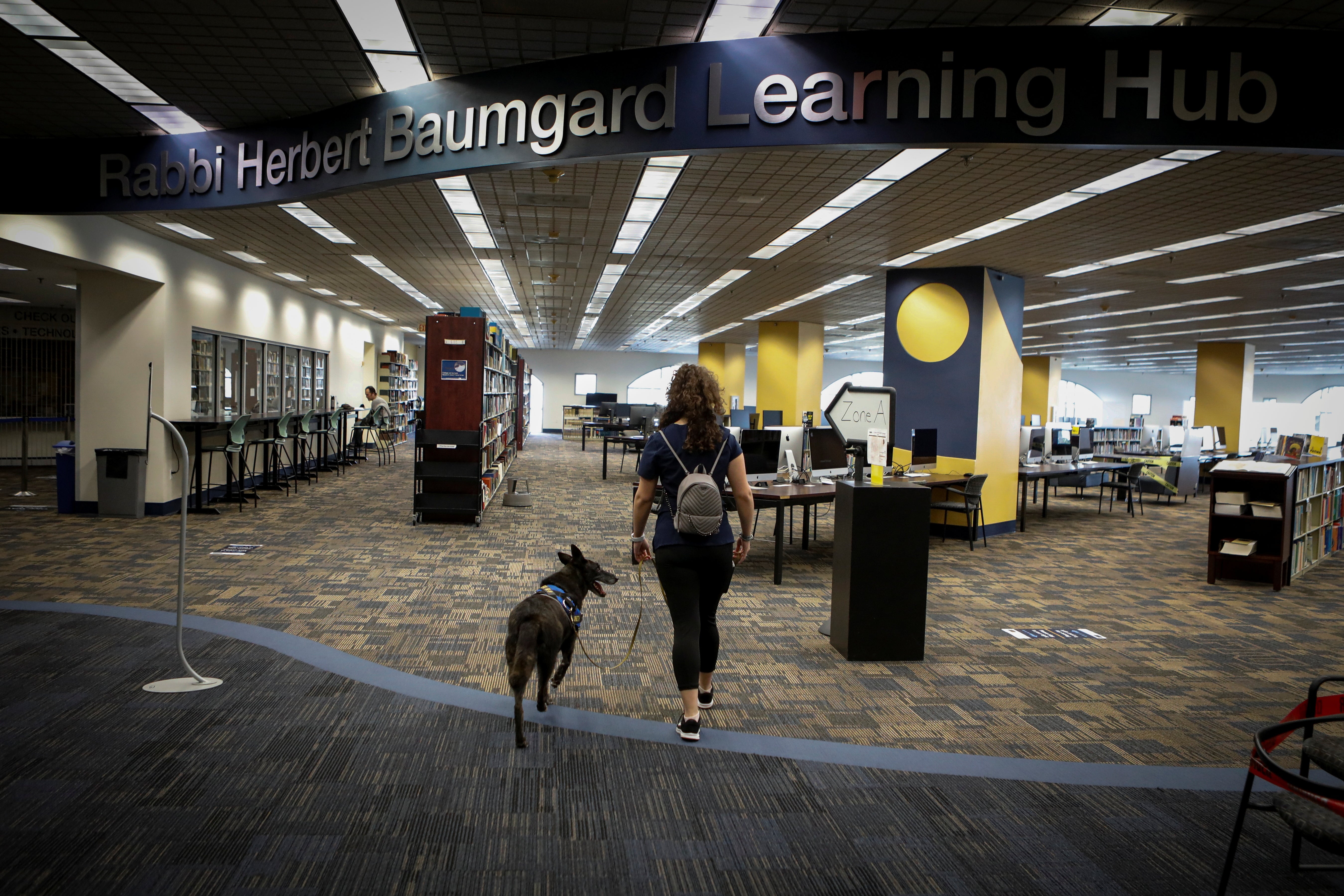 One-Betta, a sniffer dog trained to detect the coronavirus disease, scans a library at the Florida International University in Miami