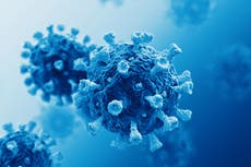 Comparing coronavirus to seasonal flu is dangerous