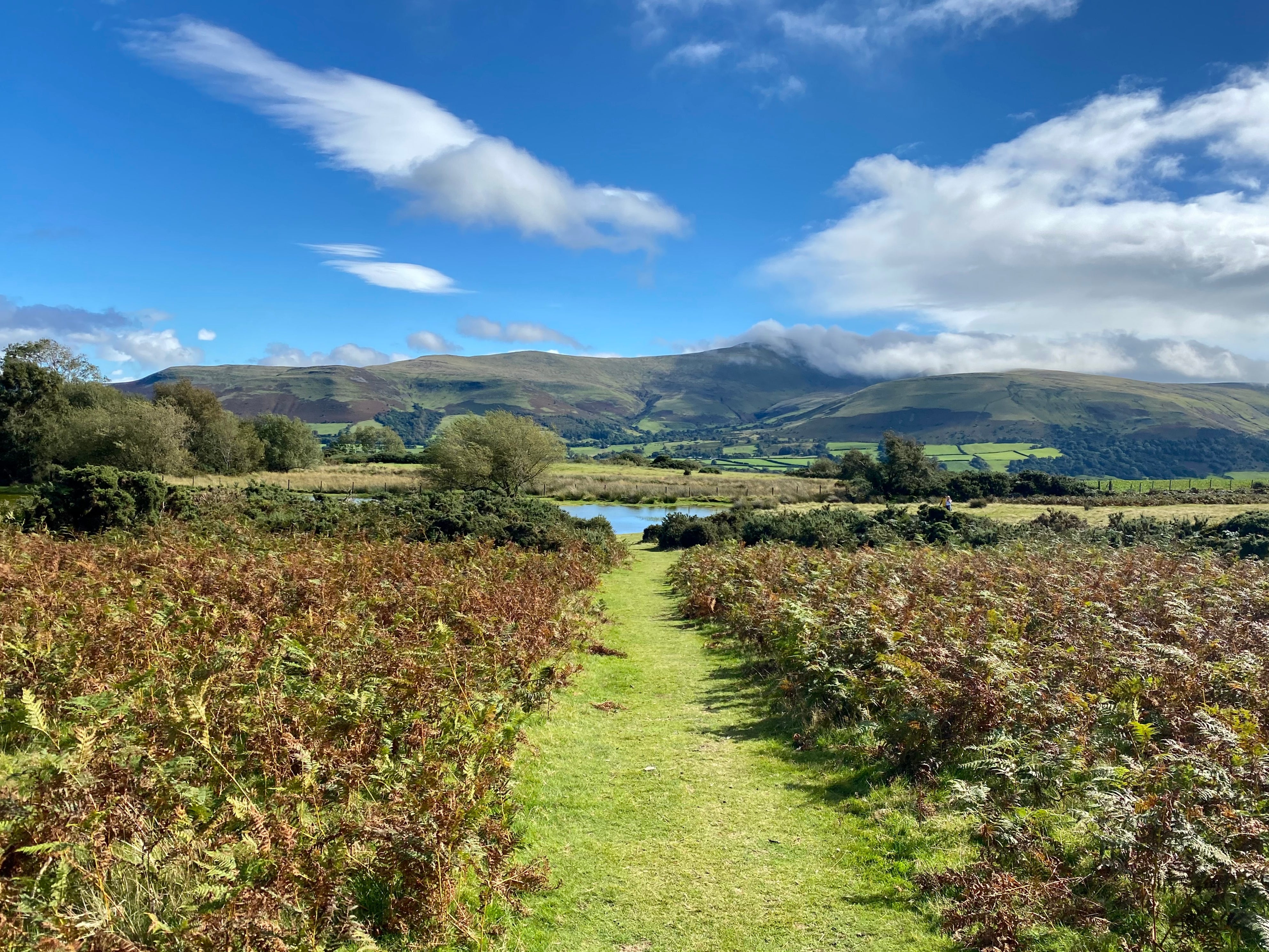 An otherworldly walk along Sarn Helen