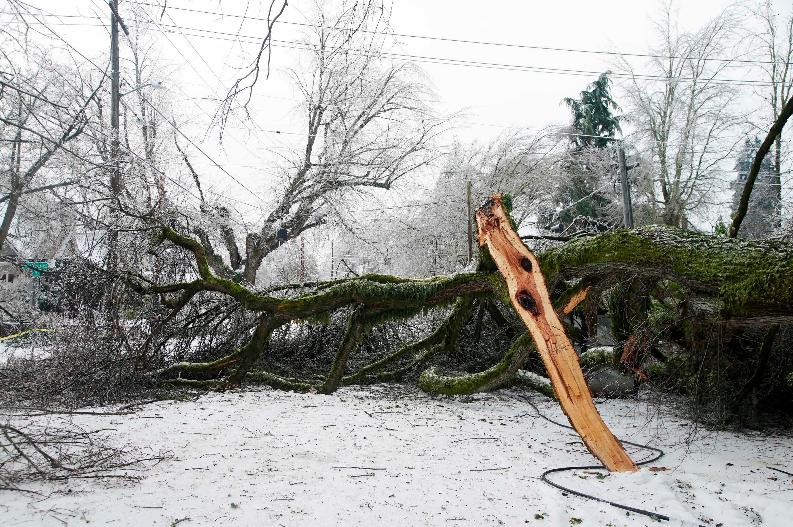 Winter Weather Oregon