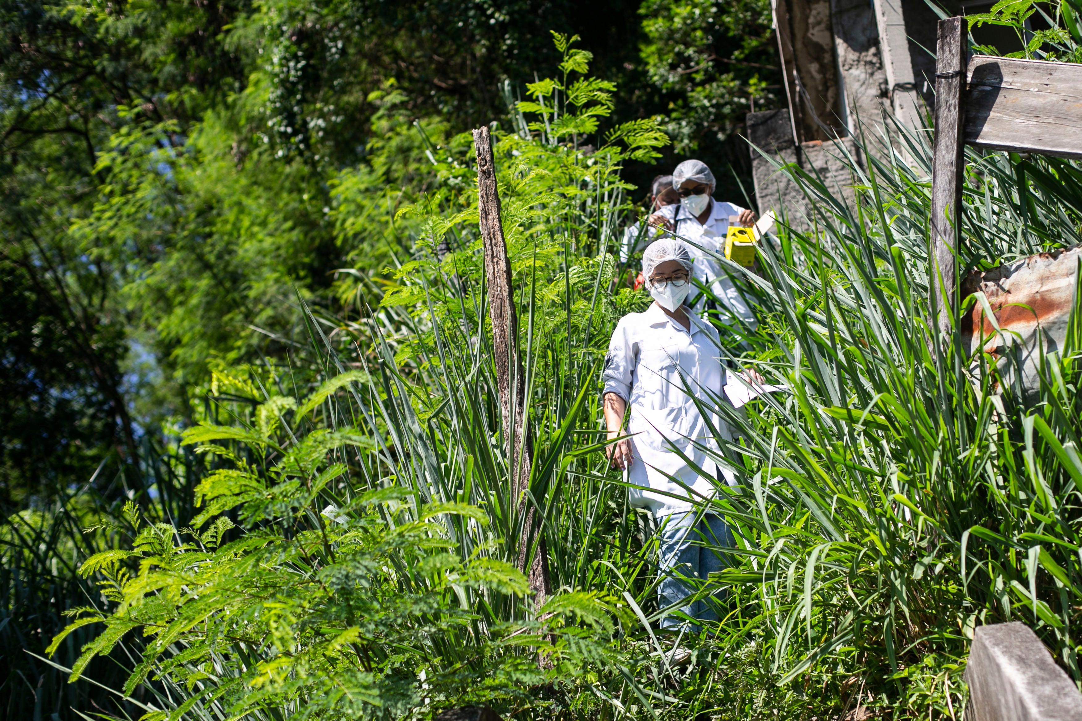 APTOPIX Virus Outbreak Brazil