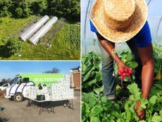 Climate Corps America: The urban farms transforming how America’s most vulnerable communities eat 