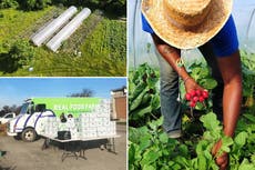 Climate Corps America: The urban farms transforming how America’s most vulnerable communities eat