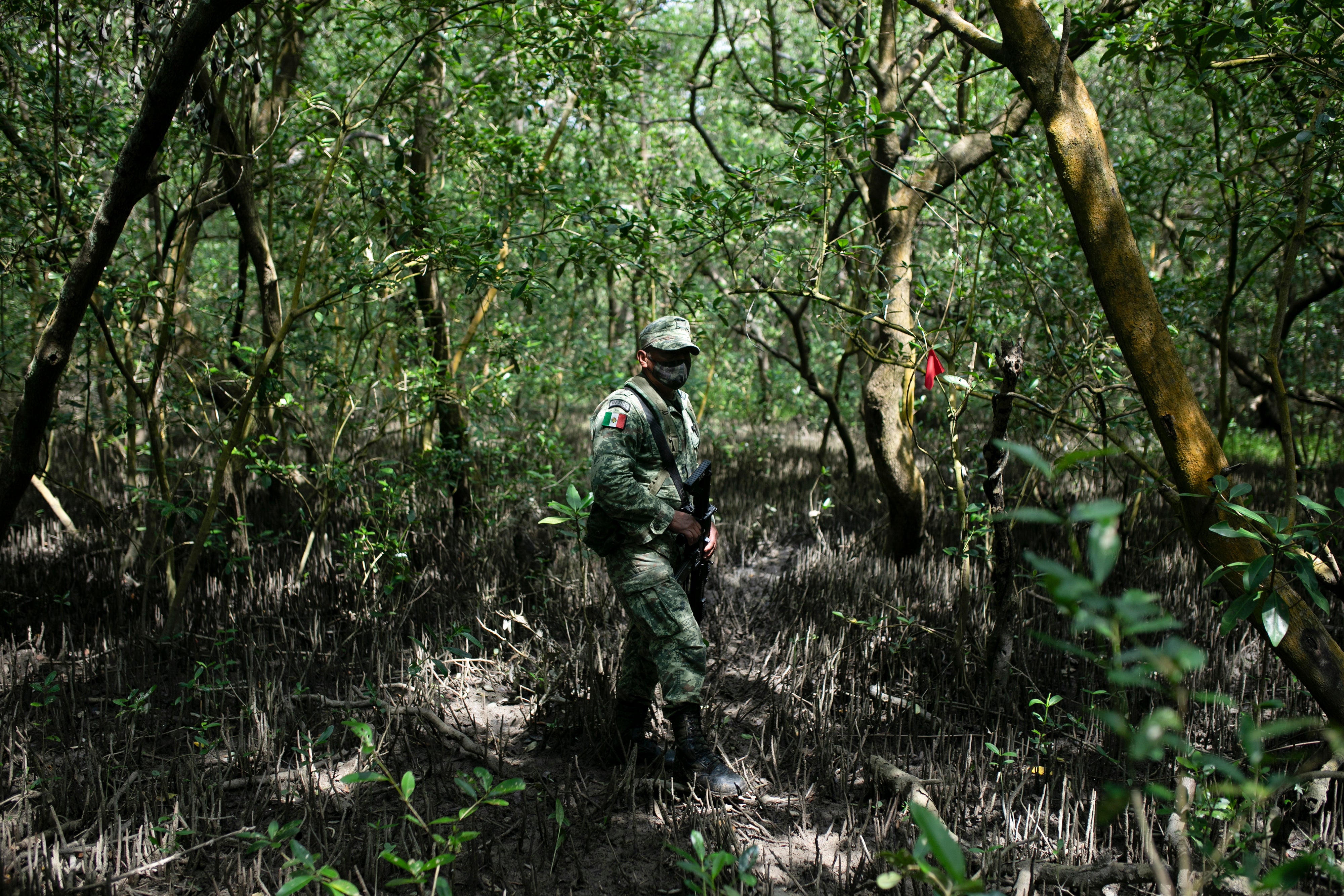 Mexico Clandestine Graves