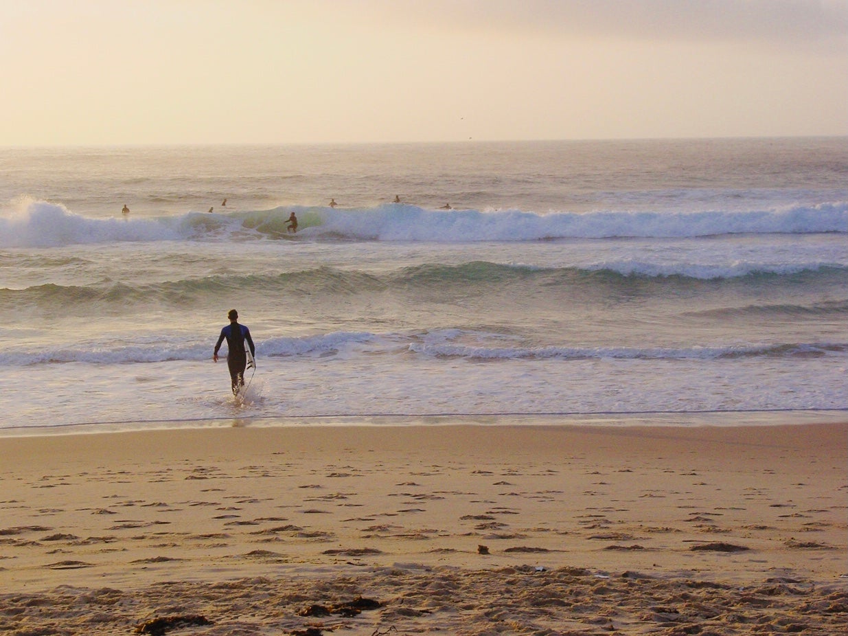 Arriving soon? Surfers at Bondi Beach in Sydney