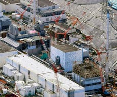 Water leaks indicate new damage at Fukushima nuclear plant