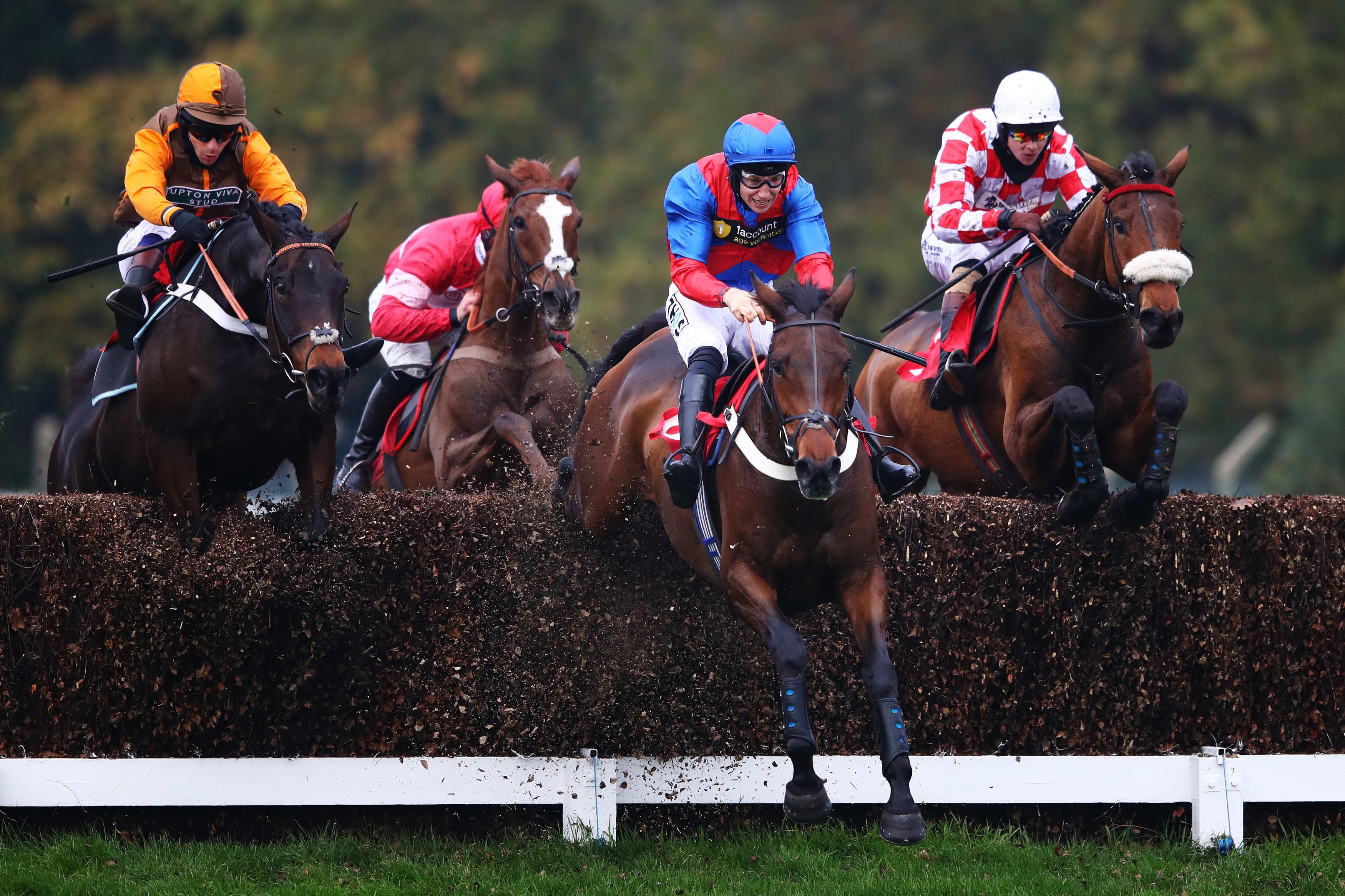 Racing from Ascot