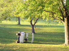 Post-Brexit law shift exempts golf buggies and ride-on lawnmowers from compulsory motor insurance