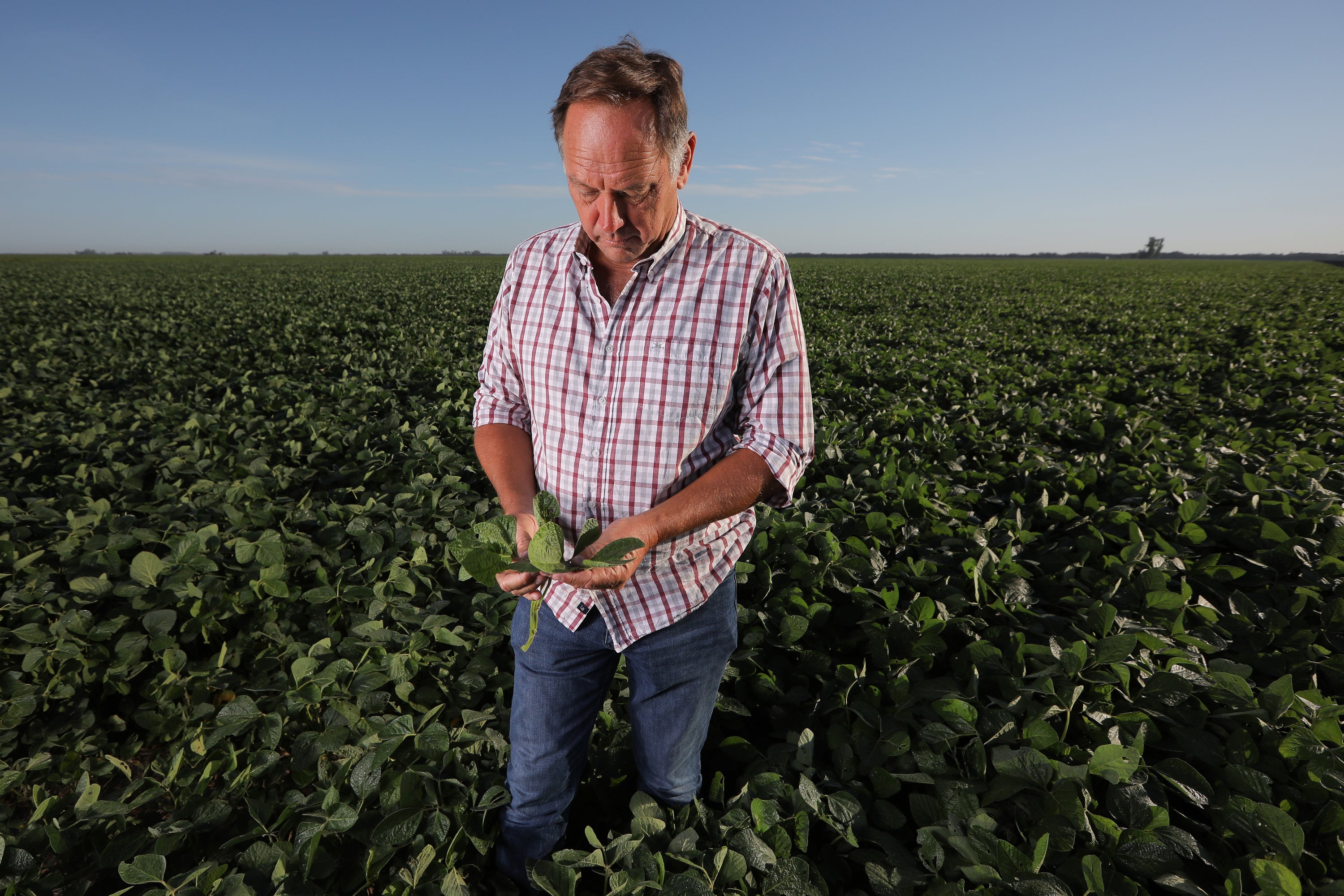 Gabriel De Raedemaeker grows wheat and soy on 1,700 acres in Cordoba province, in the fertile western Pampas