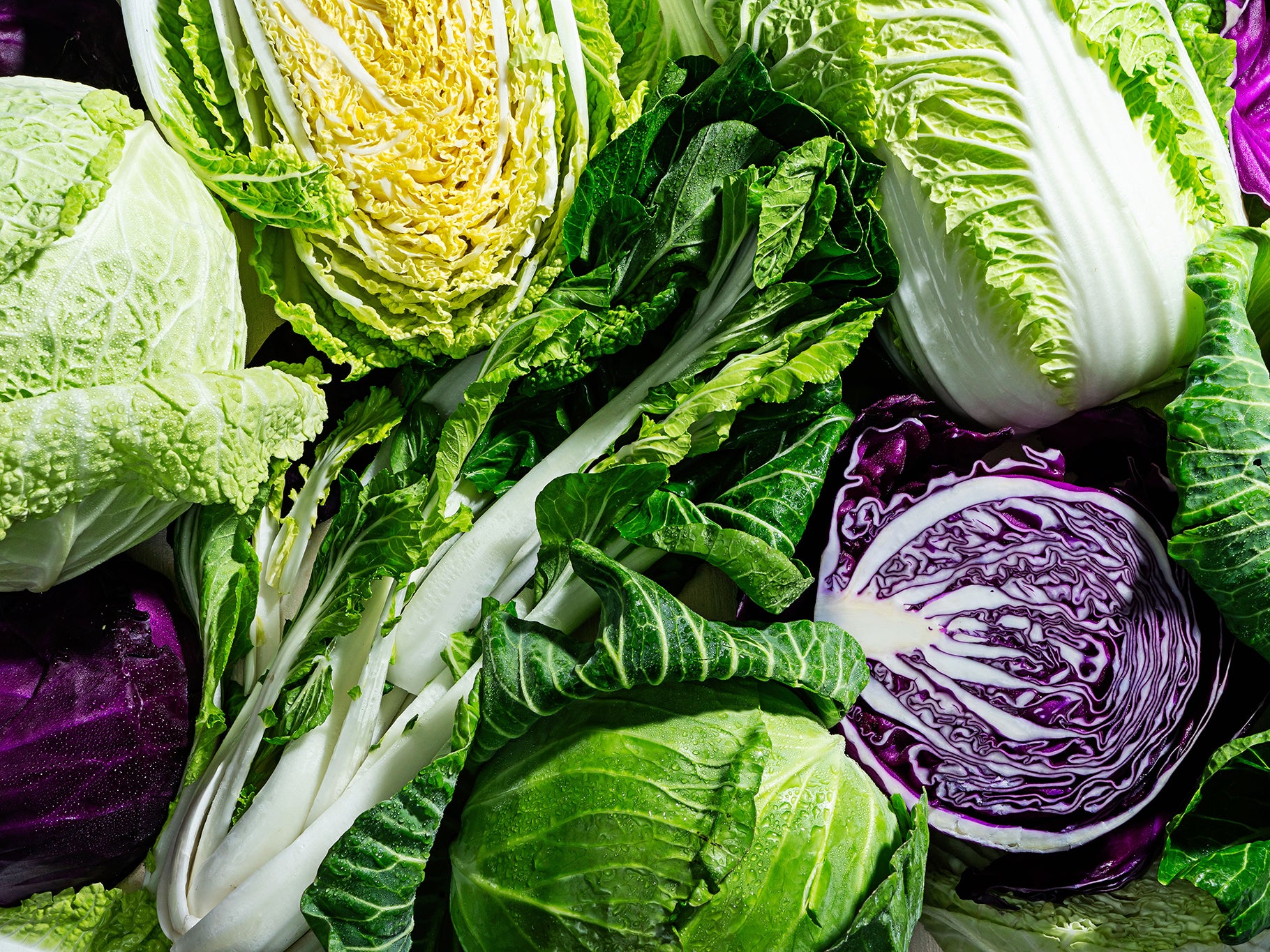 Bok choy, green napa, savoy and red cabbages