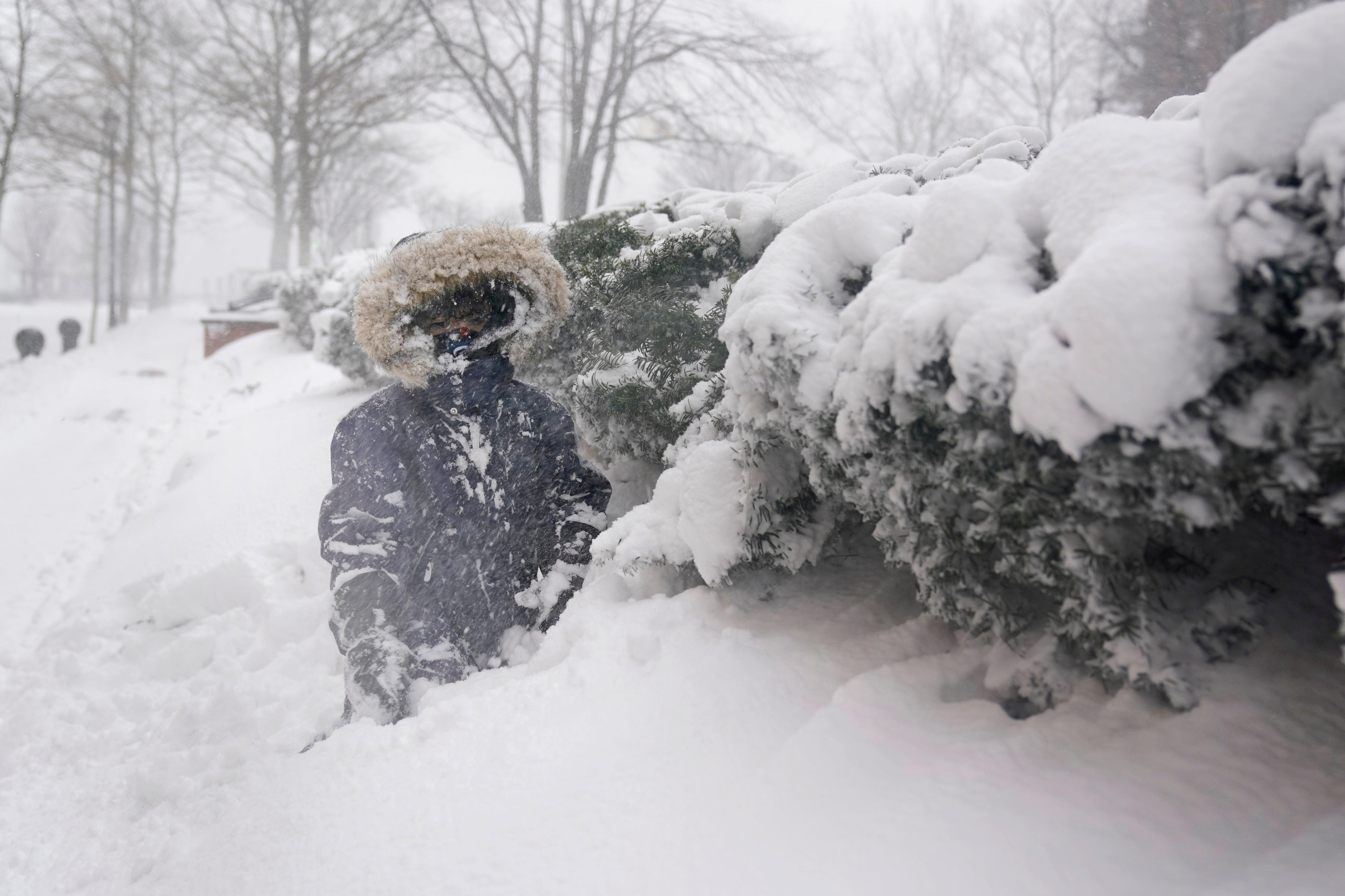 Gardening Snow Damage