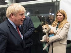 Carrie Symonds went ‘completely crackers’ over press story on her dog amid Covid chaos in Downing Street, Cummings claims