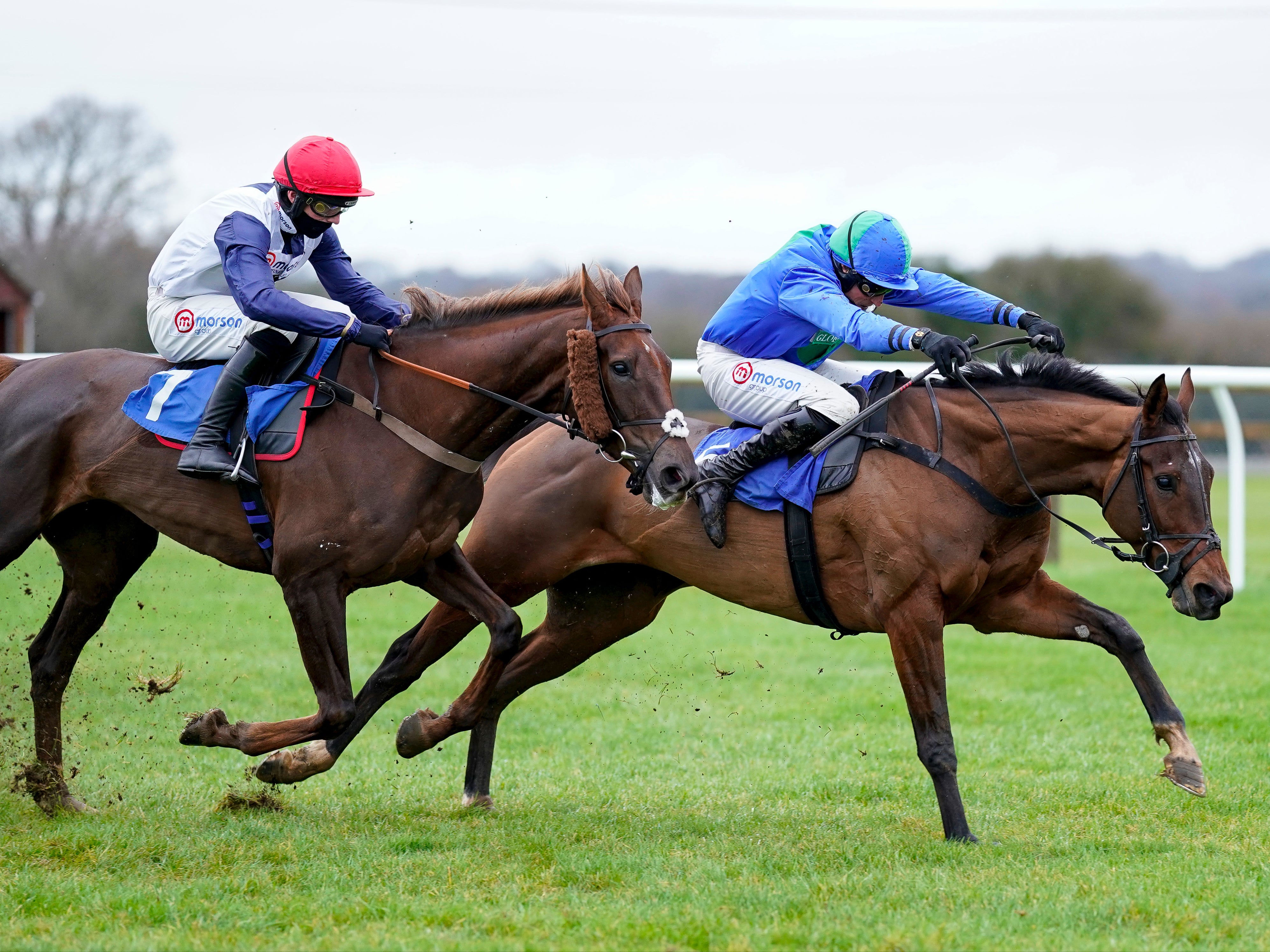 Harry Skelton riding Global Harmony