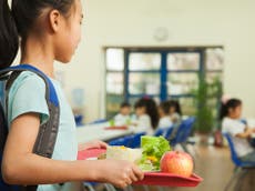 ‘Ideology on a plate’: Row after French city takes meat off menu for schoolchildren