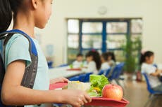 ‘Ideology on a plate’: Row after French city takes meat off menu for schoolchildren