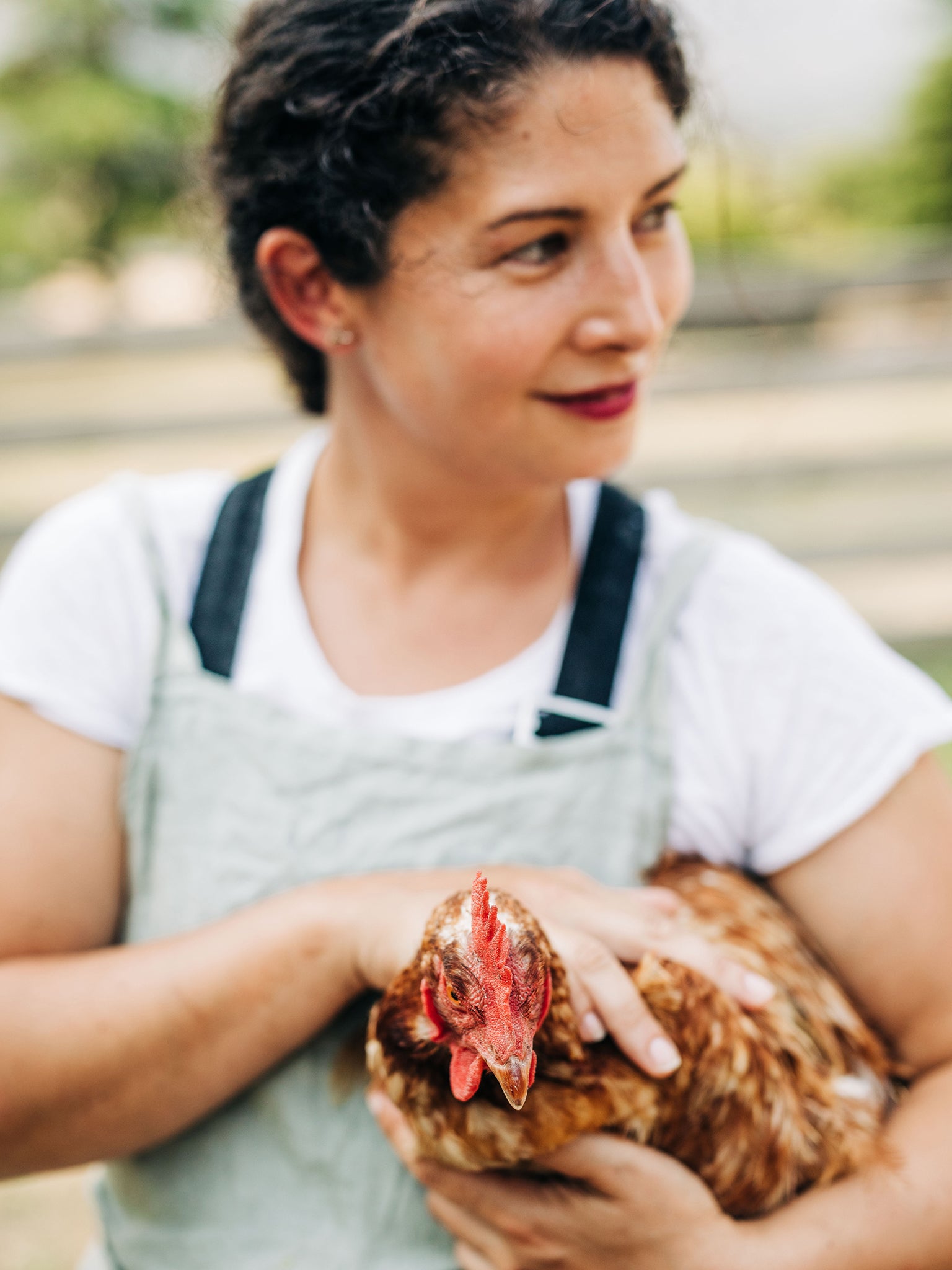 Different strokes: Gregory keeps hens for eggs only