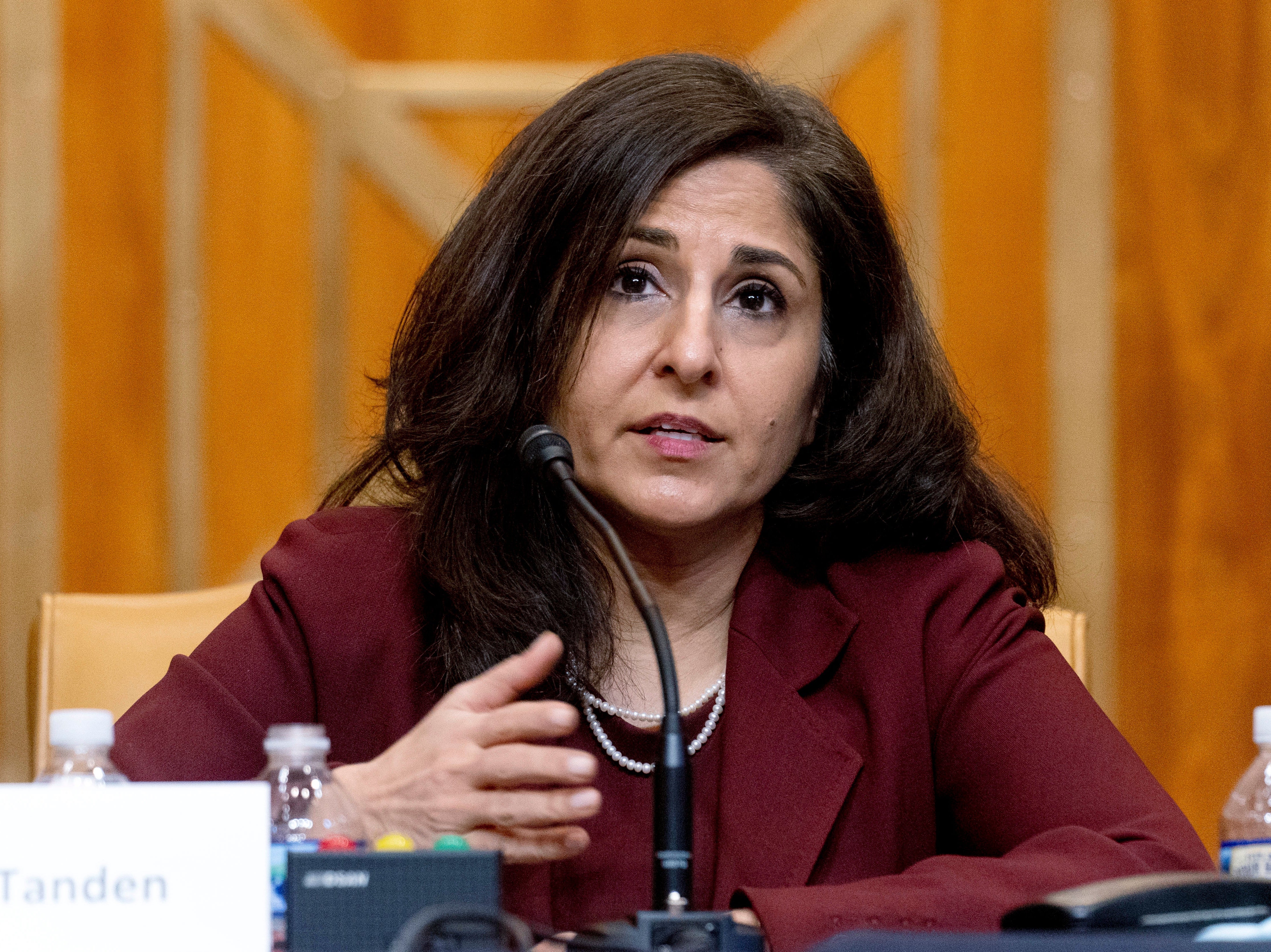 Neera Tanden at a confirmation hearing