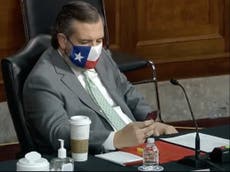 ‘Zero respect’: Ted Cruz pictured scrolling through phone during harrowing opening testimony into Capitol riot