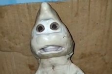 Mutant baby shark caught by fisherman