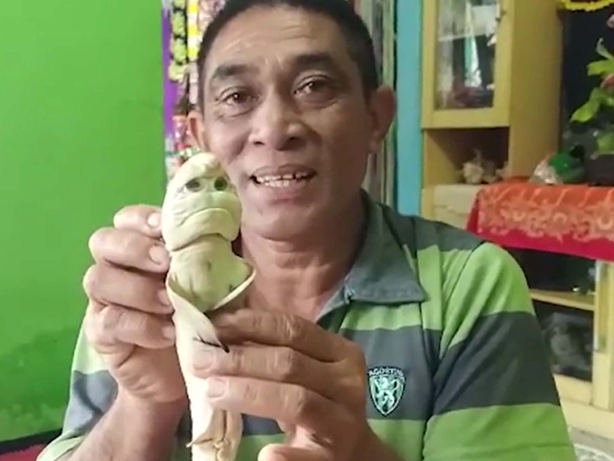 A fisherman in Indonesia claims he caught a baby shark with an eerily human-like face