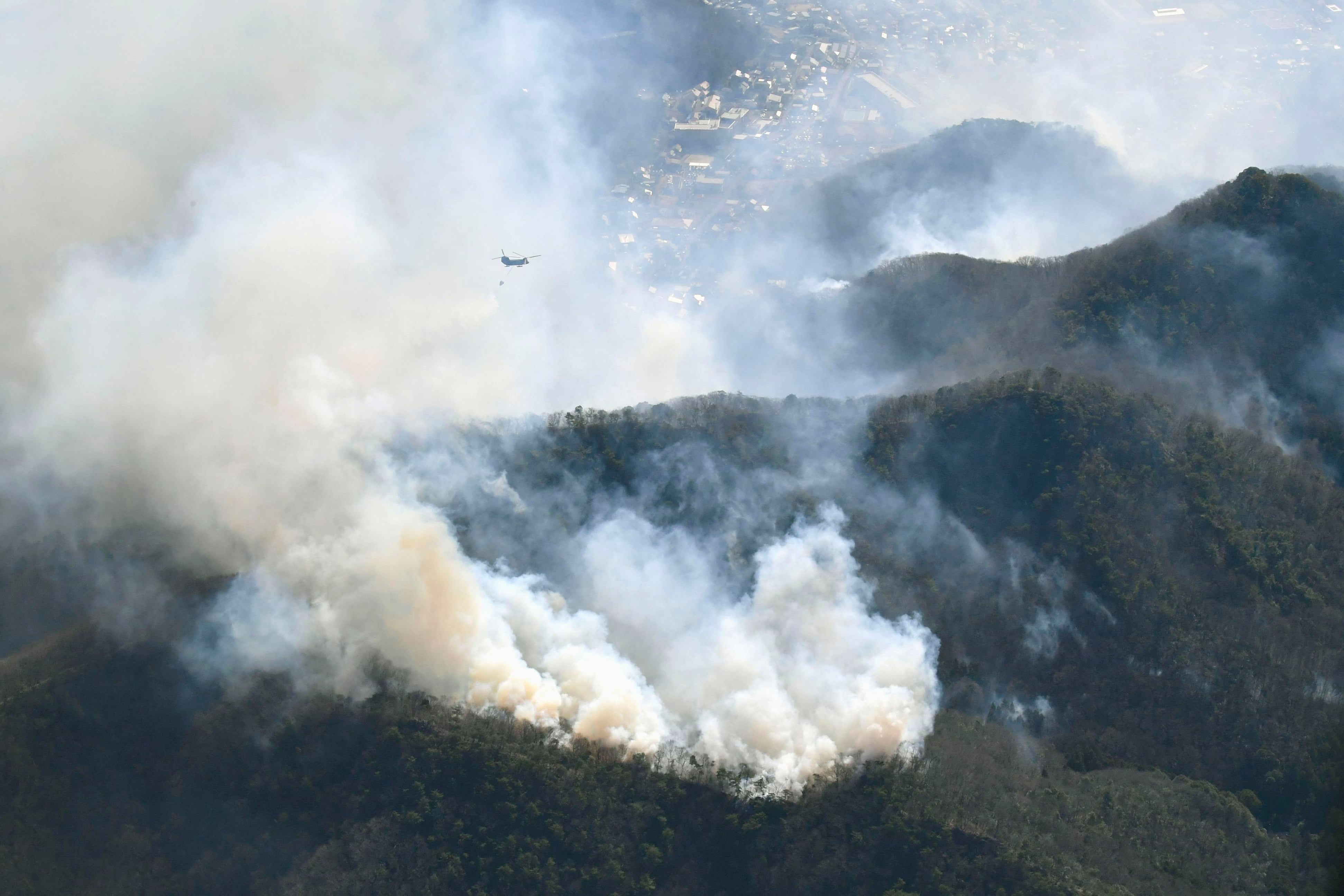 Japan Forest Fire