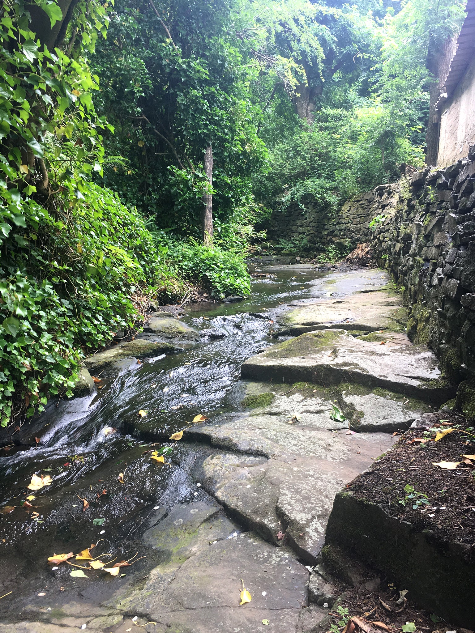 Cottingley Beck, where the fairies were photographed