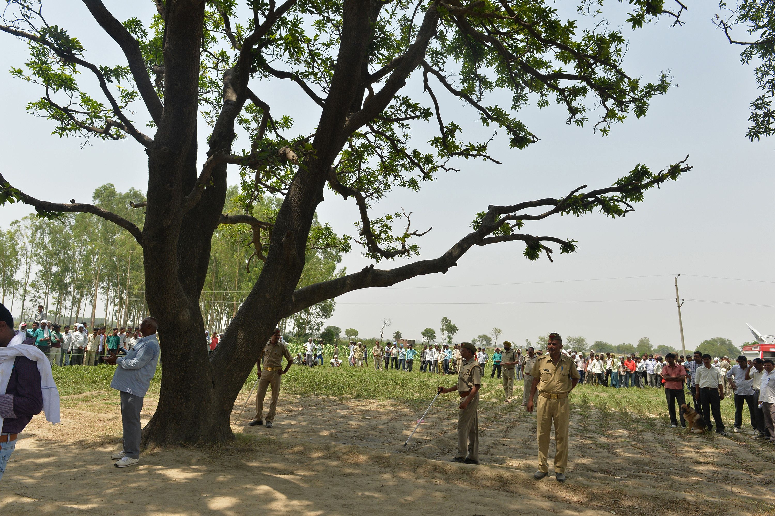 Indian police keep watch at the tree where the bodies of the victims were found hanging, in Budaun district, Uttar Pradesh