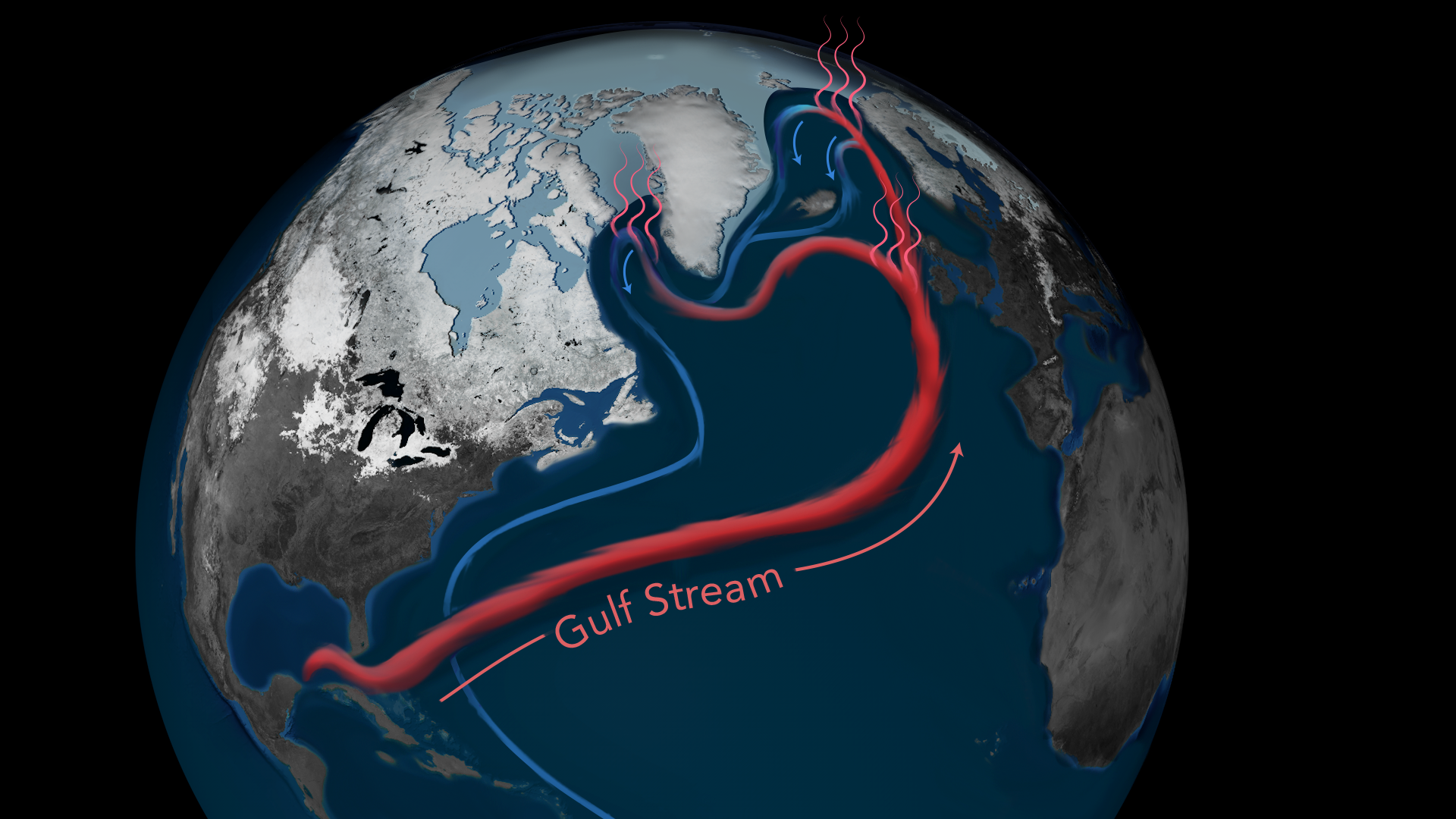 A partial view of the Atlantic Meridional Overturning Circulation (AMOC), showing the Gulf Stream