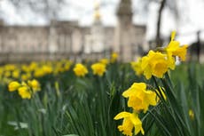 We’re all going on a summer holiday – we just don’t know where, when or how