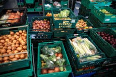 Revealed: UK’s largest supermarkets throw away enough food for 190 million meals each year