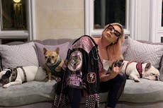 Accused dognappers didn’t know bulldogs belonged to Lady Gaga in near fatal robbery, police say