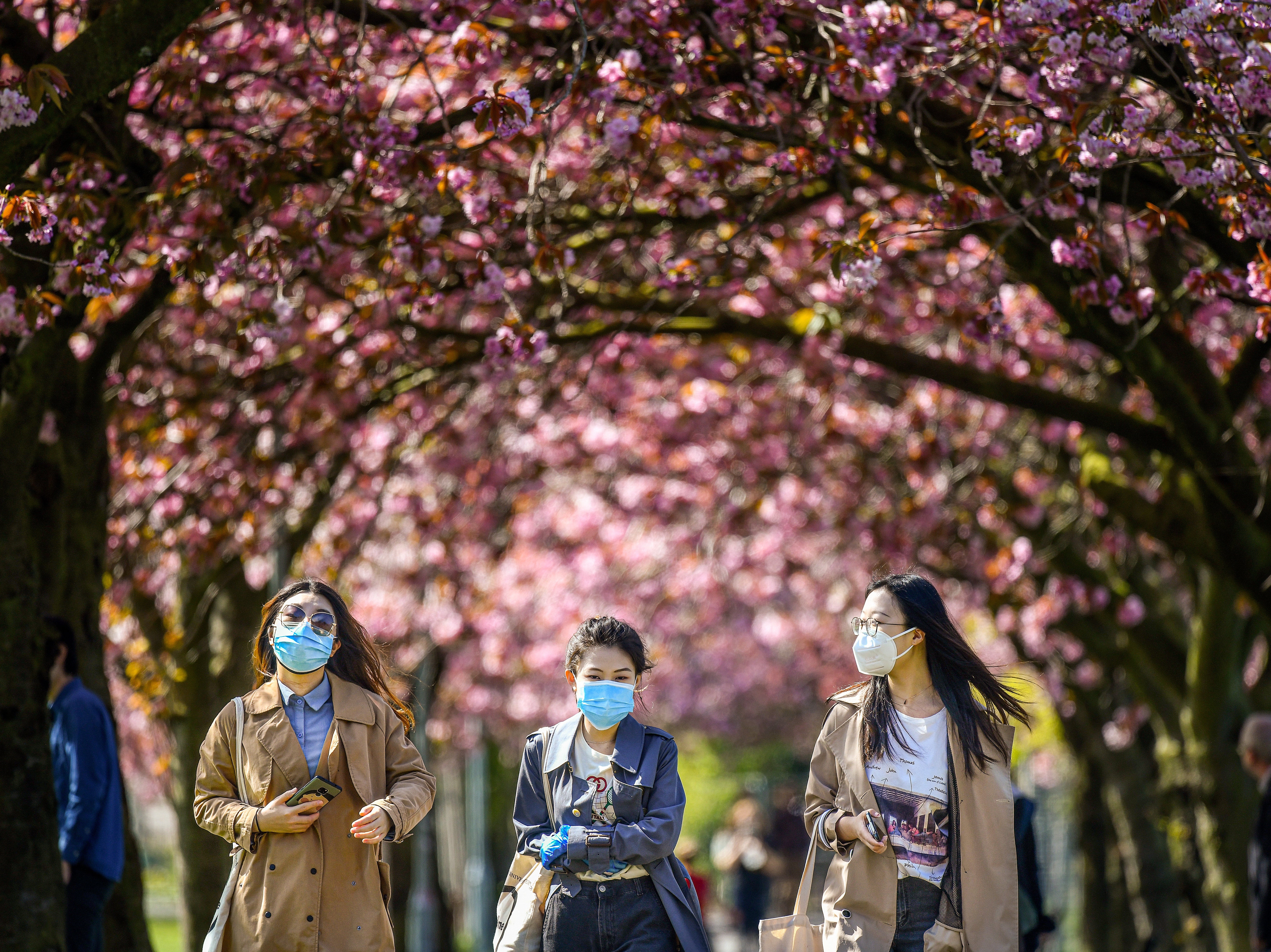 Blossoming tree circles will be planted across the UK “to help signal reflection and hope” after the Covid-19 pandemic