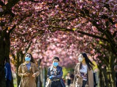 Blossoming trees to be planted across UK ‘to help signal hope’ after Covid pandemic