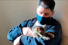 Cat that vanished 15 years ago reunited with owner