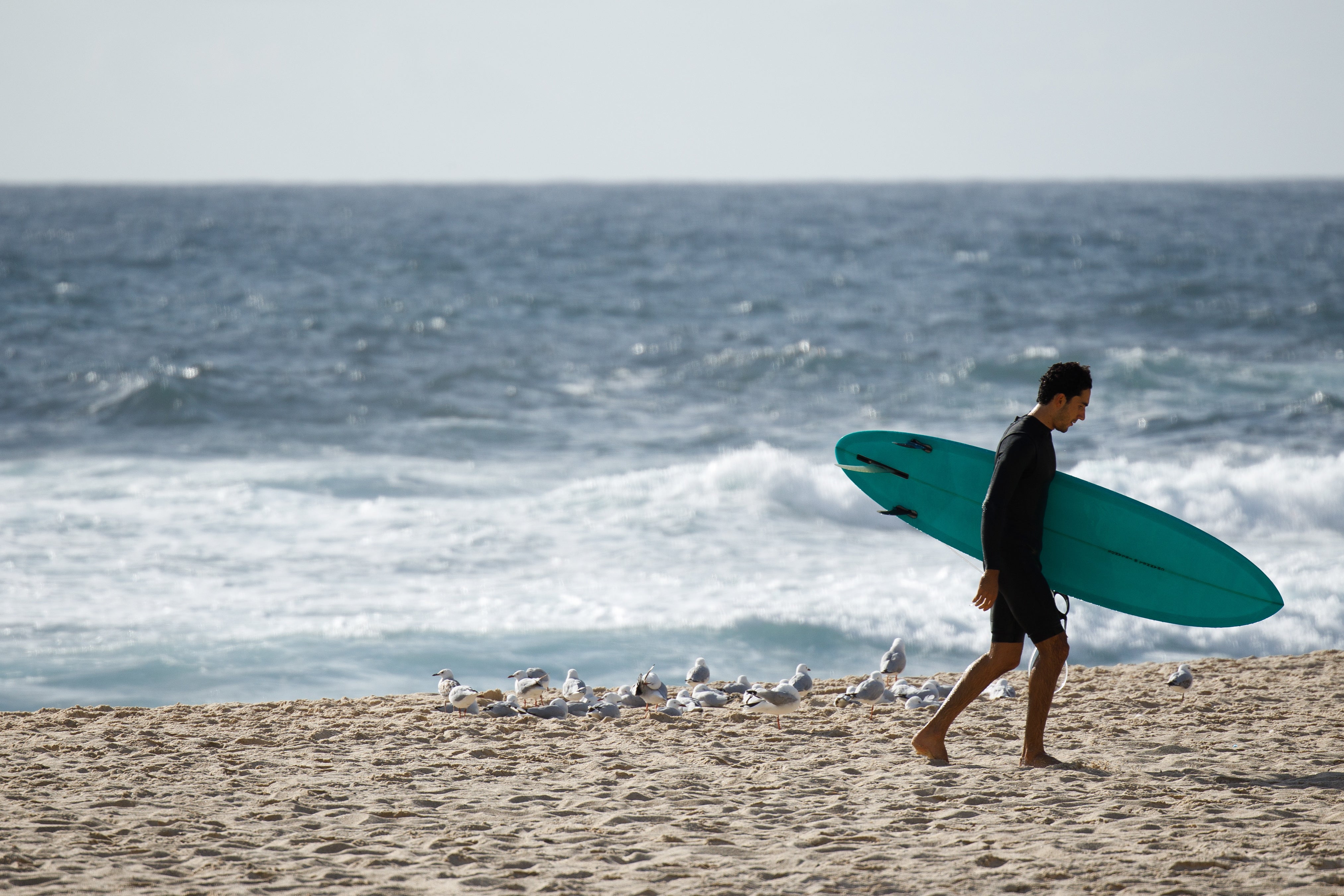 A nicer kind of wave: Bronte beach, Sydney