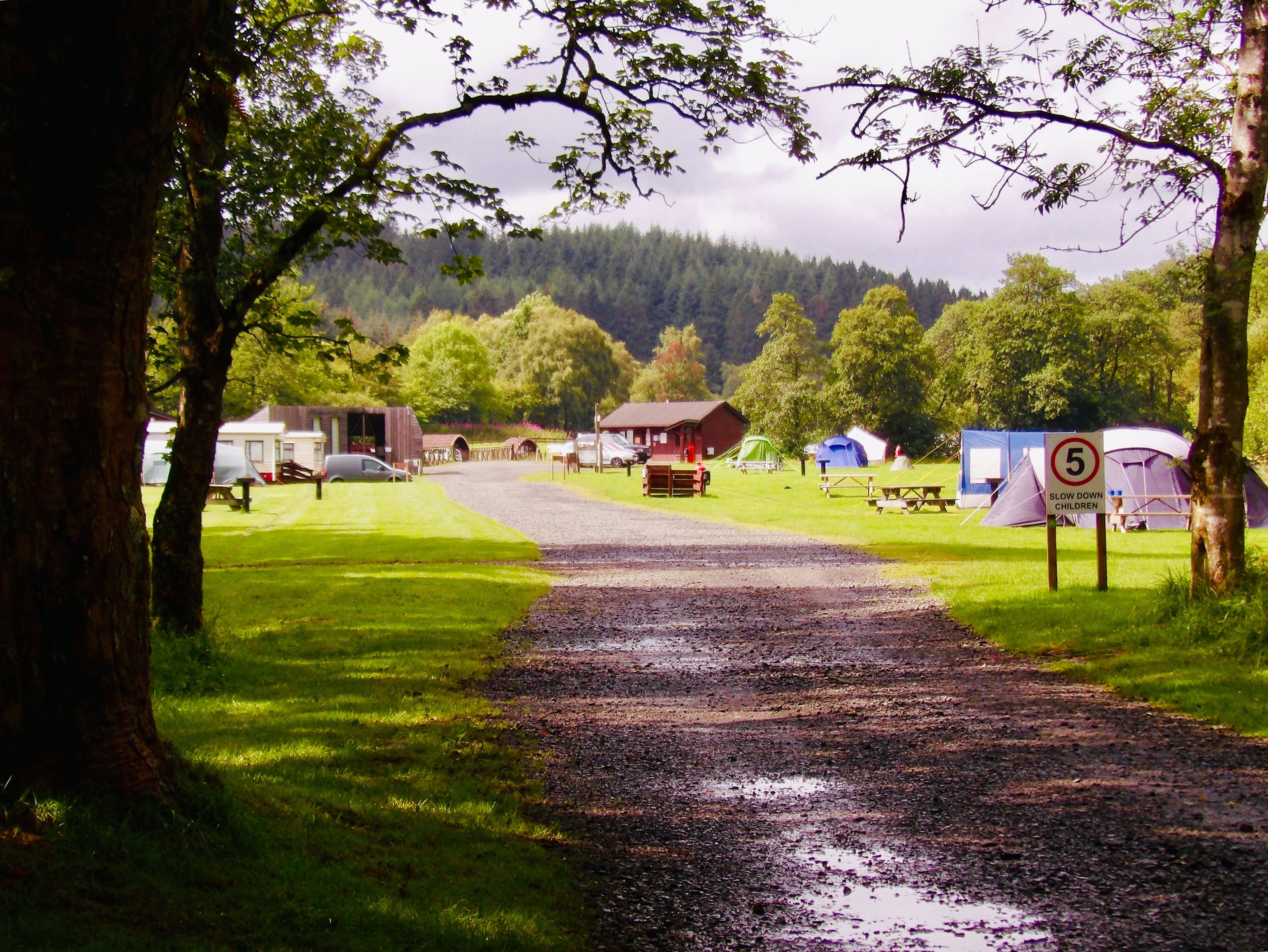 This forest campsite is just three miles shy of the Scottish border