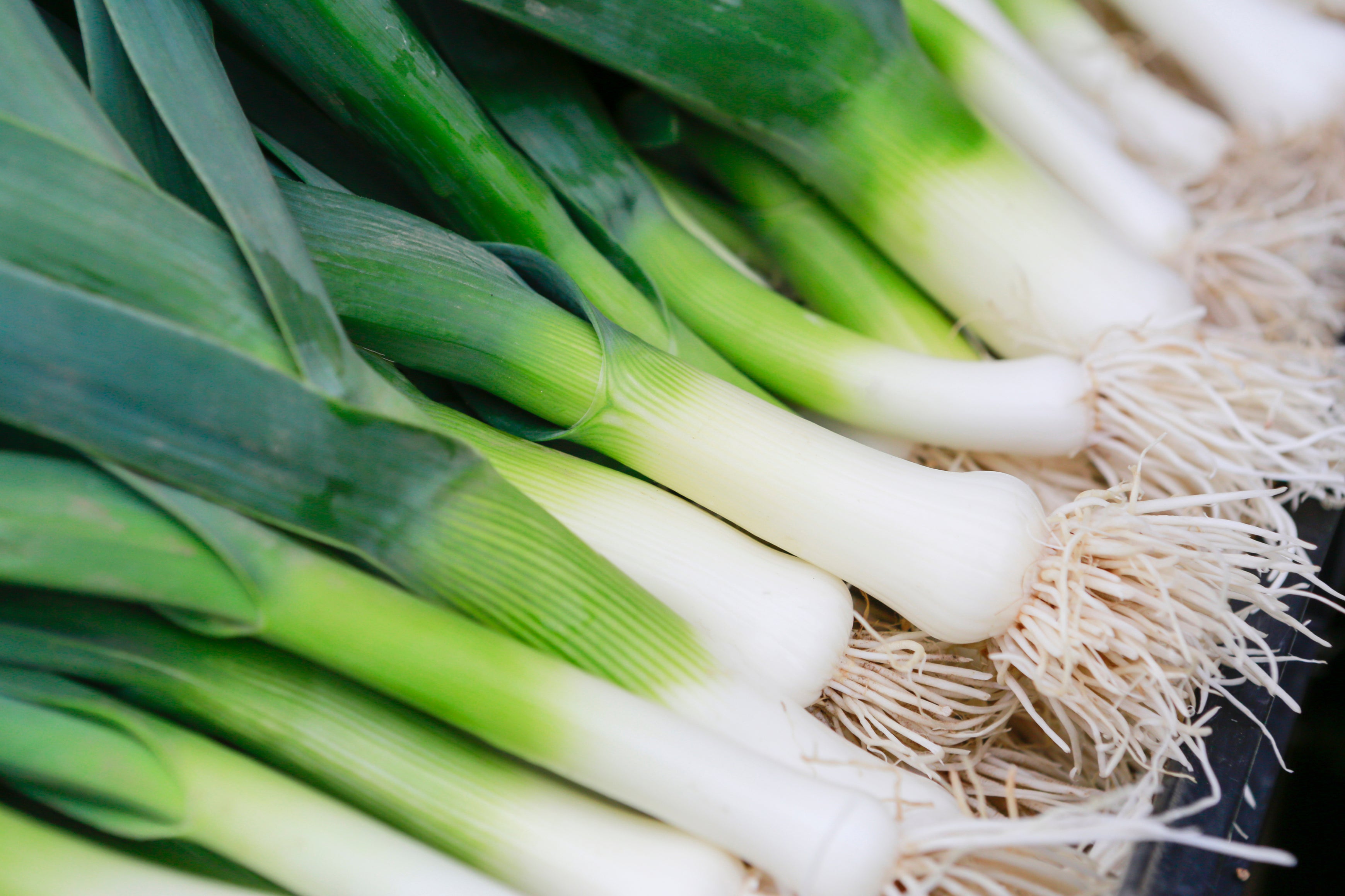 A big bunch of leeks (iStock/PA)