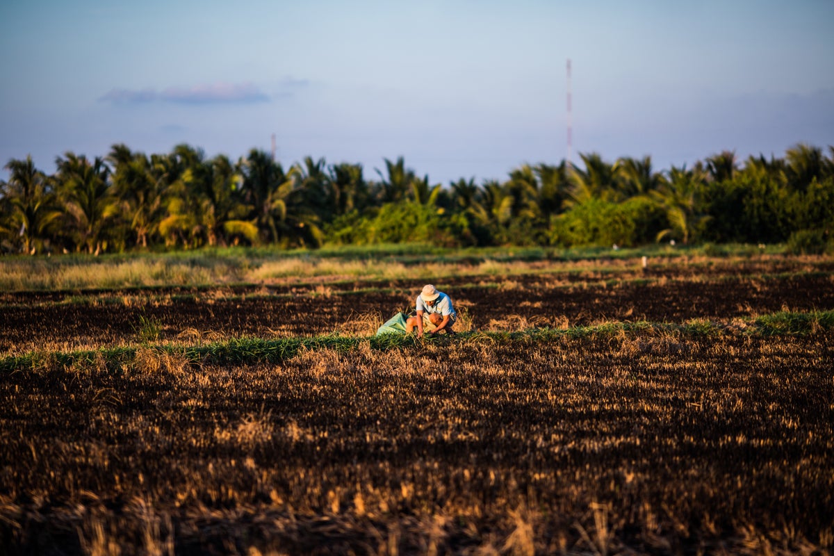 Vietnam’s Mekong Delta was heavily hit by the impact of El Nino in 2016