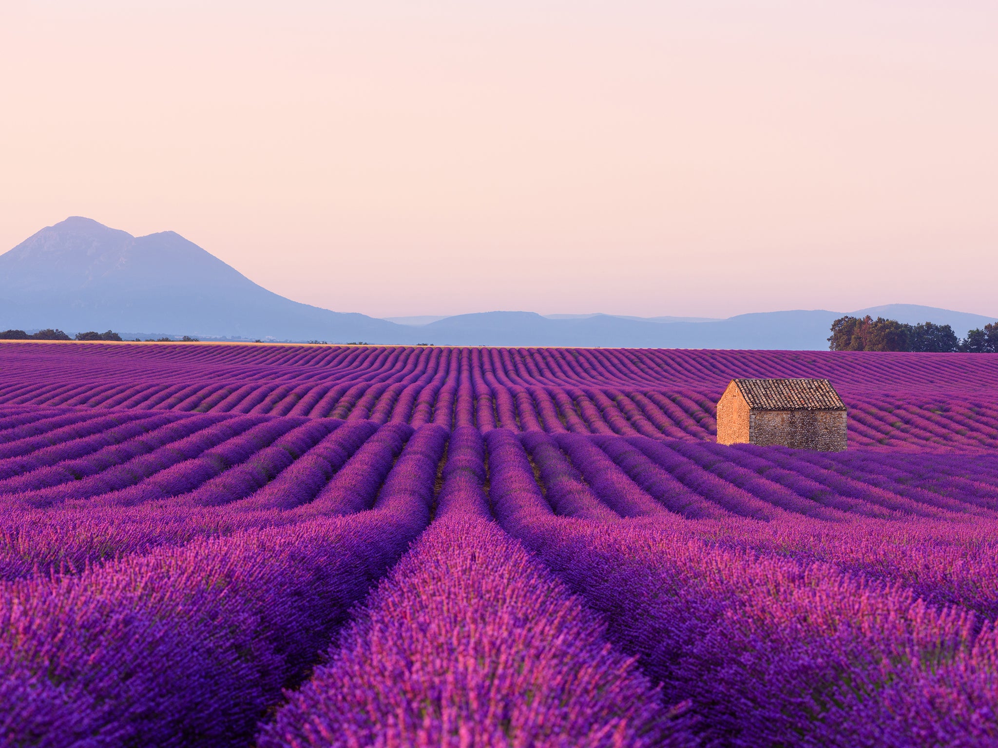 It would be nice to finally fulfil our Provence booking this year