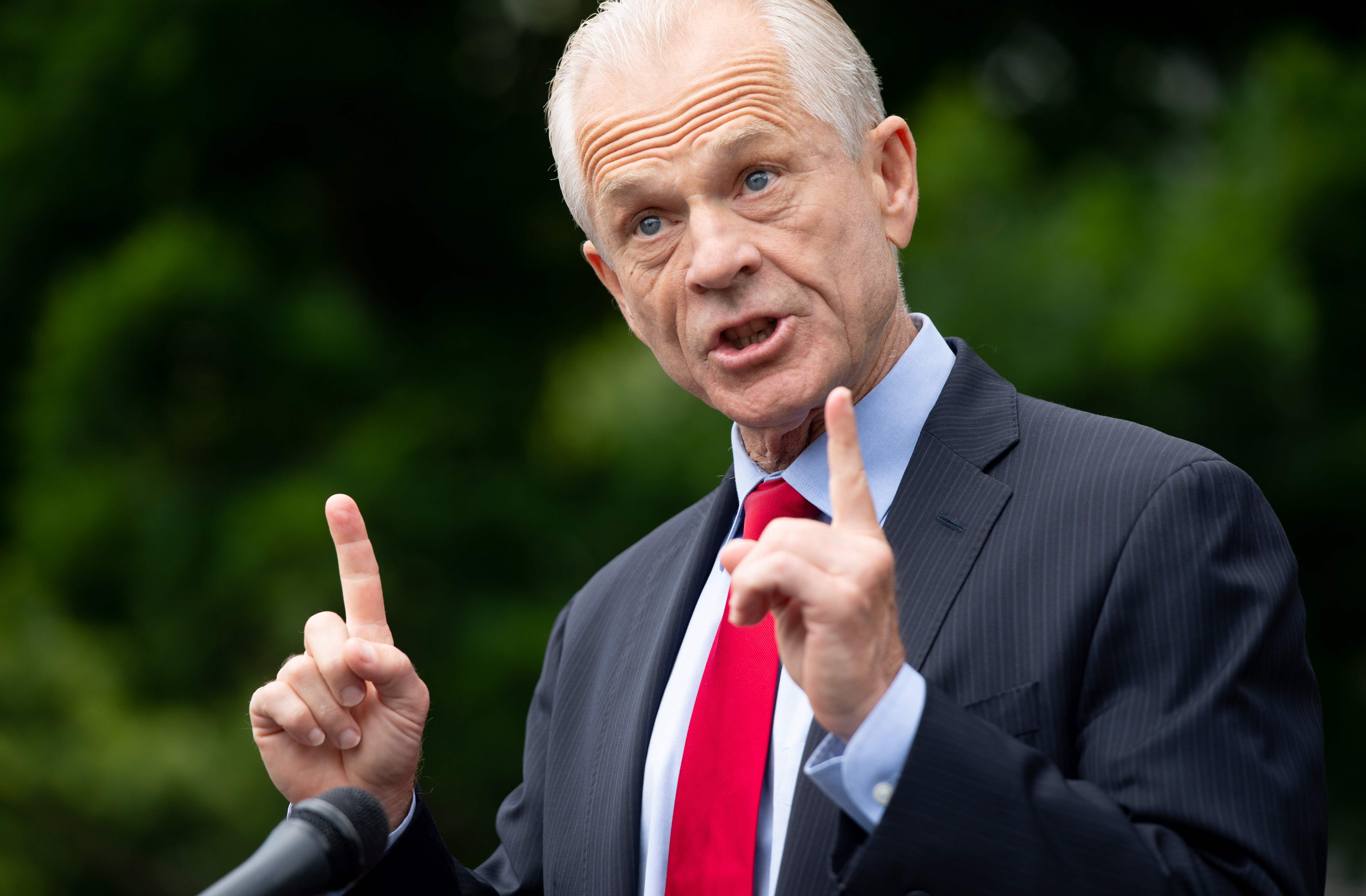 Former White House trade adviser Peter Navarro