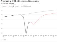 The 2021 Budget in charts