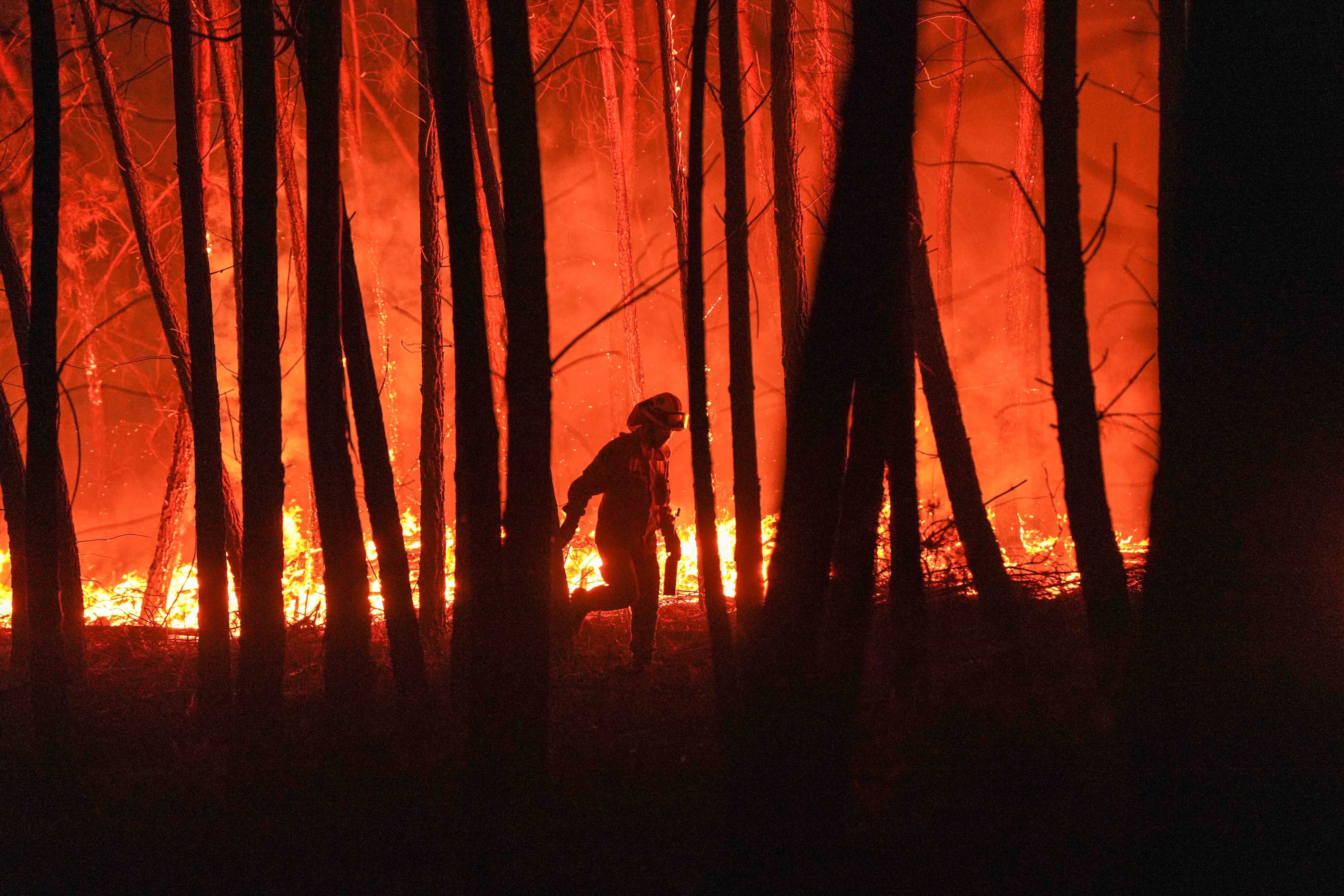 The climate crisis is affecting our security and safety, Prof Hayhoe says