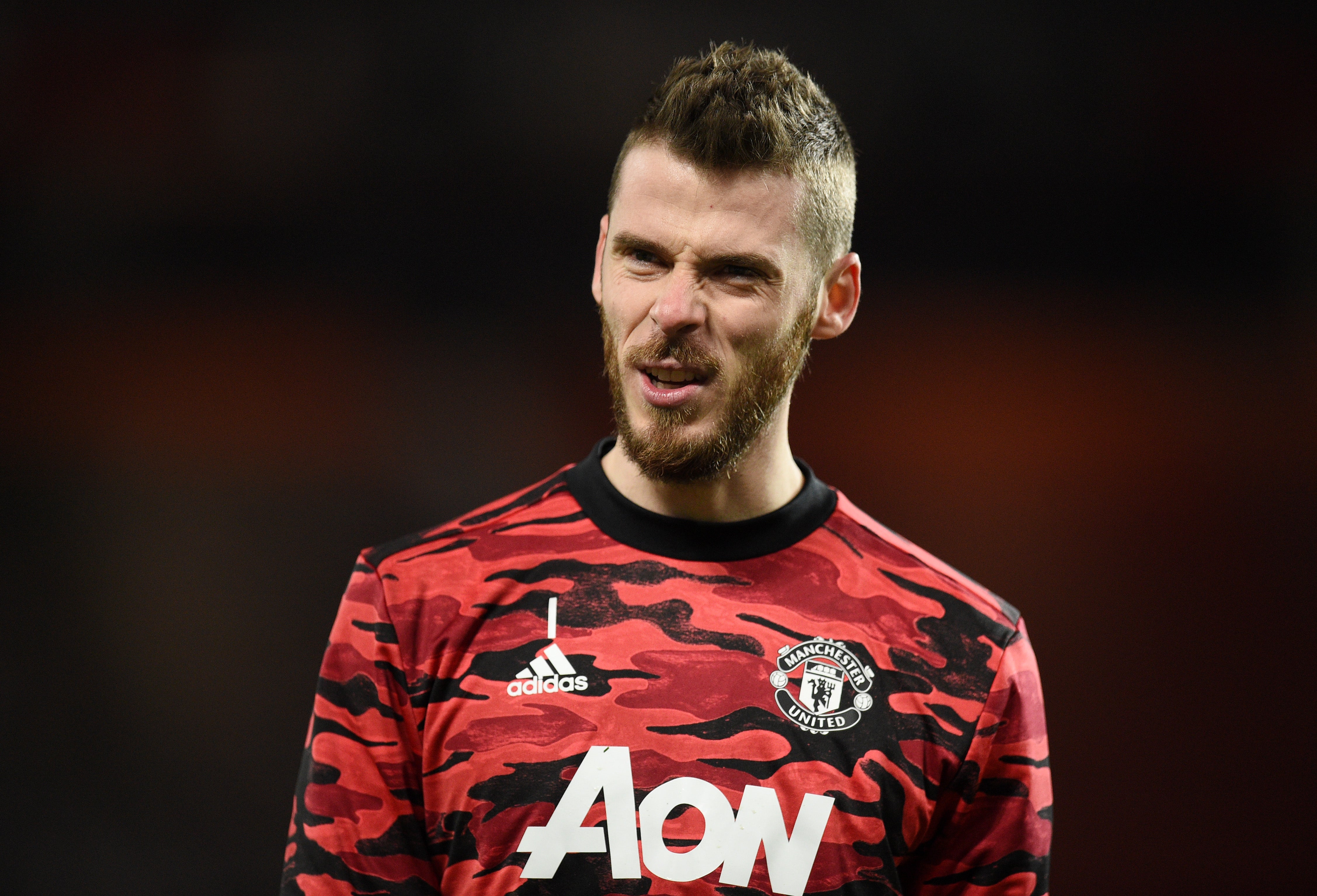 Manchester United goalkeeper David de Gea