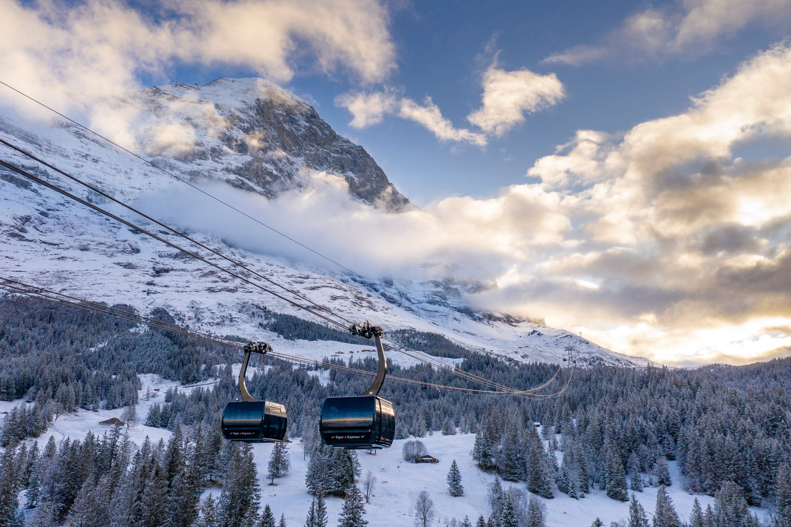 The Eiger Express has just seven pylons