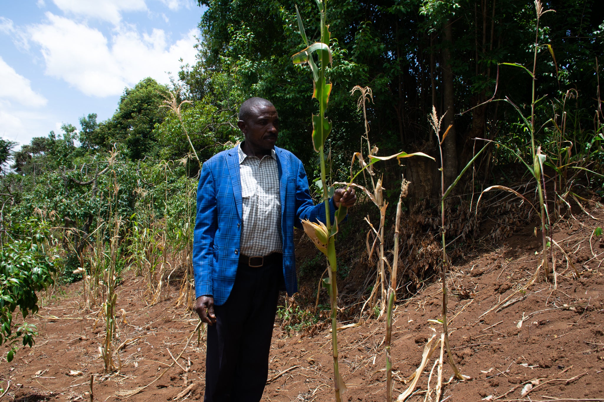 Farmer James Laiboni: ‘The work of three months was gone in a matter of seconds’