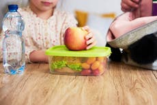 Gavin Williamson awards £190m contract to French firm behind school meals voucher ‘shambles’