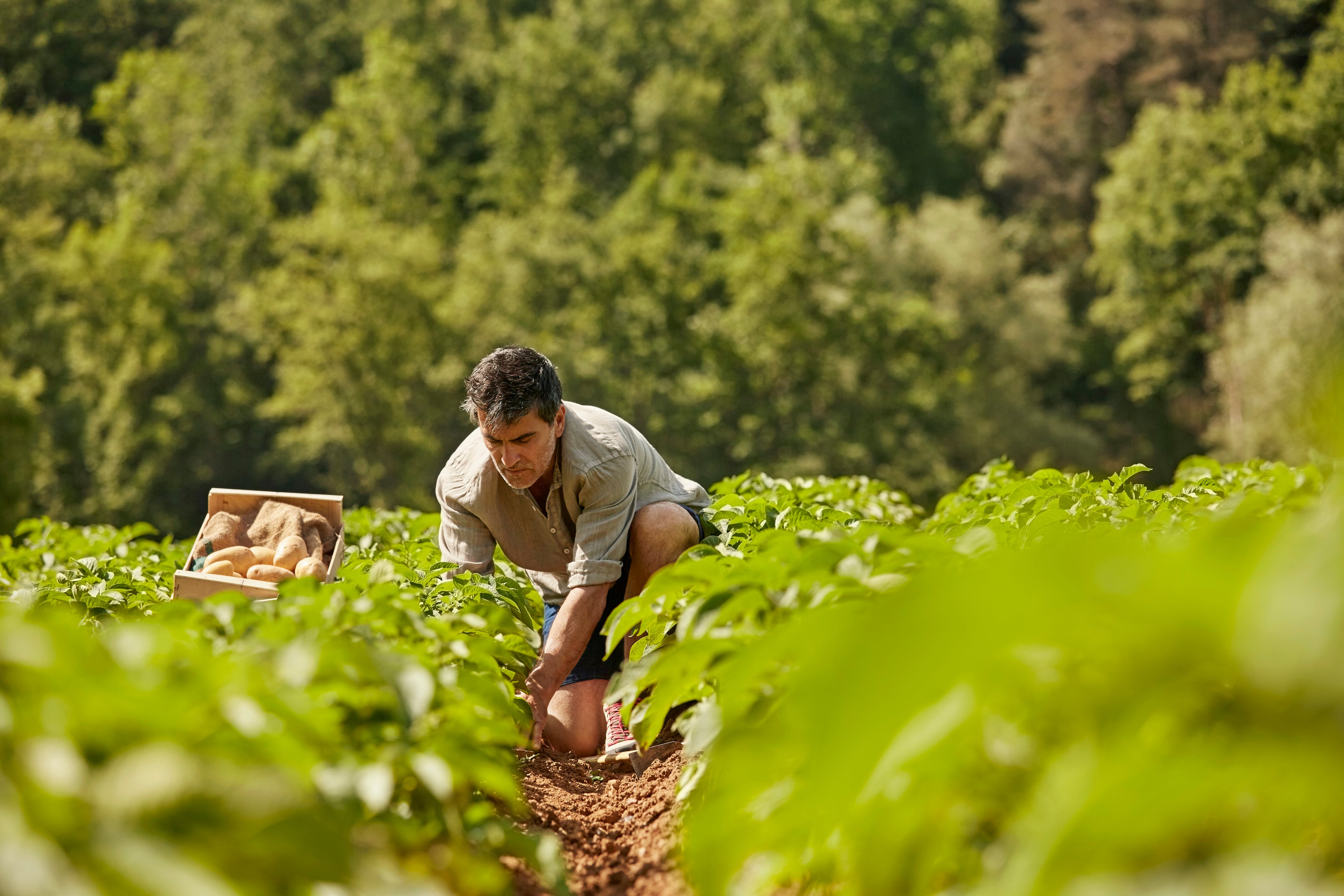 Cultivating widespread food sharing takes time, labour and care, but the social and environmental return is worth it