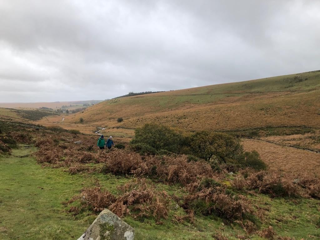 Wildflowers cling to every rock in spring and summer, while the winter view is of ferns and gorse