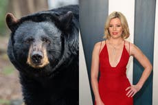 Cocaine Bear: True story of infamous bear who consumed duffel bag of cocaine and got Hollywood treatment